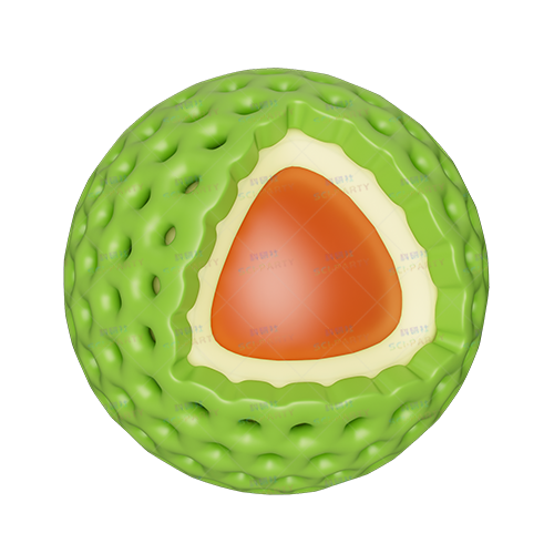 多孔核壳结构