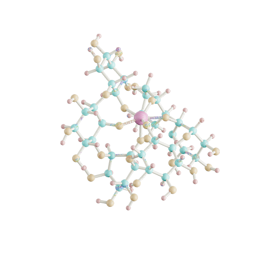 分子环